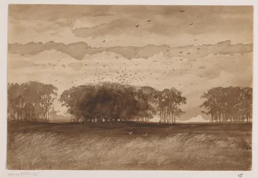 Rookery Pohjois-Brabantissa