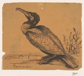 Merimetso Cormoran (otsikko esineessä)