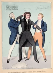 "A Wild Elephant Led Between Two Tame Ones", pub. 1830 (käsinvärinen kaiverrus)