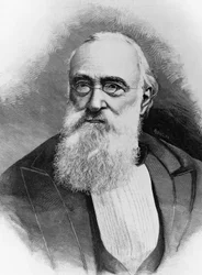 Italian valtiomiehen ja Italian kuningaskunnan pääministerin Agostino Depretisin (1813-1887) muotokuva, kaiverrus Michele Schembochen valokuvan jälkeen (toiminut 1856 - noin 1906)