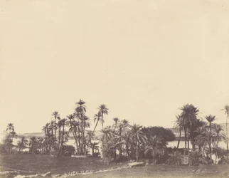 Niilin rannat, Kalabshe