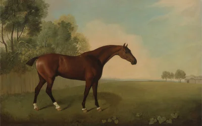 Rautias hevonen pellolla, 1778