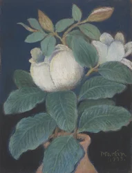 Magnolian kukkia, 1933