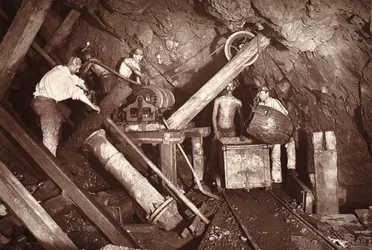 Konešahti tasolla 406, Cook