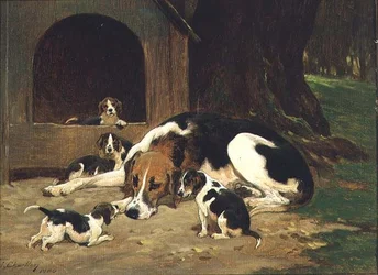 Foxhound narttu pentueensa kanssa
