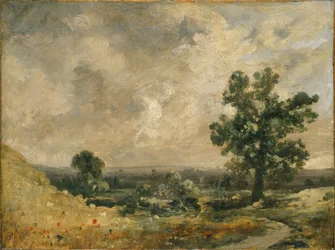 Englantilainen maisema