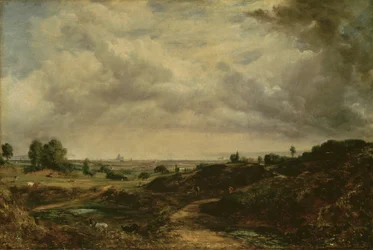 Hampstead Heath (öljy kankaalle)