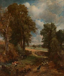 Maissipelto