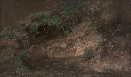 Aluskasvillisuus, n. 1821.