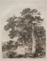 Colneyssa.