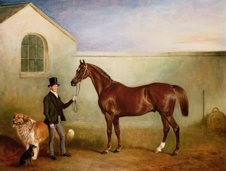 Herra Meakin pitelee Sir Robert Peelin Chestnut Hunteria koiriensa "Hector" ja "Jem" kanssa