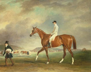 Cur kastanjakilpahevonen jockeyn kanssa Newmarket Heathissa