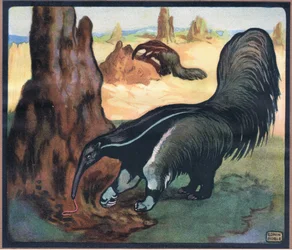 Muurahaiskarhu