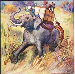 Laitoin kiväärin kuonon tiikerin päähän (väri litho)