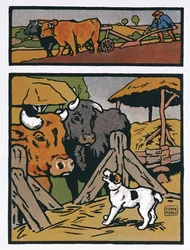 Kuvitus elokuvalle Koira ja lehmä, Jean de La Fontainen (1621-95) "Fables" (värikaiverrus)