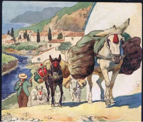 Muulit espanjalaisella passilla, kuvitus vuonna 1919 julkaistusta Gladys Davidsonin "Helpers Without Hands" -kirjasta (värilitho)