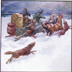 Toverini työnsi viileästi toisen kätensä suden suuhun (väri litho)