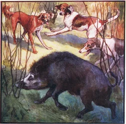 Laskenut päänsä hieman alas hän tuli suoraan minua kohti (väri litho)
