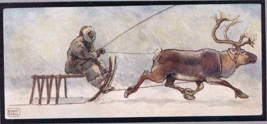 Poro ja reki, kuvitus Gladys Davidsonin teoksesta "Helpers Without Hands", julkaistu vuonna 1919 (värilitho)