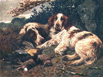Pari maksa- ja valkoinen clumberspanielia päivän laukussa