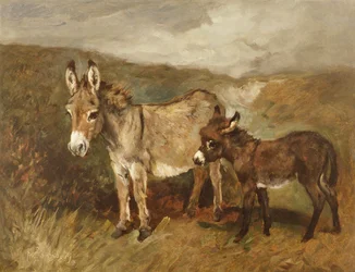 Aaseja nummella, noin 1890