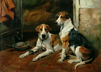 Koirat tallin sisätiloissa