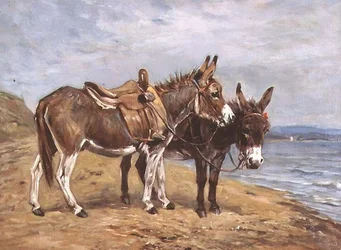 Seaside Donkeys (öljy kankaalle)