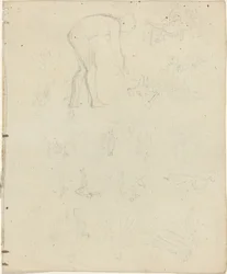 Tutkimusarkki [recto and verso]