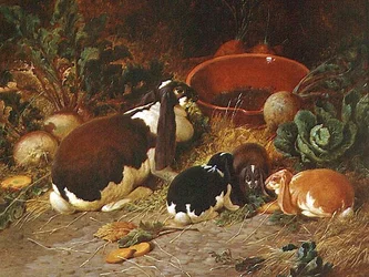 Fancy Rabbits, naaras poikansa kanssa
