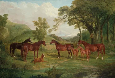 Streatlamin siittola, tammoja ja varsoja, 1836