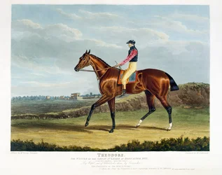 "Theodore", suuren St. Legerin voittaja Doncasterissa, 1822, kaivertanut Thomas Sutherland (s. 1785), pub. kirjoittanut W. Sheardown und Son (akvatinta)