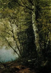 Pyökkitutkimus, 1872.
