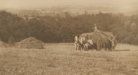 Heinän kuormaus,1890-1900 (kuva)