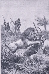 The end of Livingstone, Newnes Pictorial Knowledge, julkaisija Newnes, noin 1950-luku (litho)