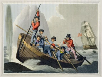 Laivan vene hyökkää valaan kimppuun, kaiverrus Matthew Dubourg (fl.1785-1820), julkaisija Edward Orme, 1813