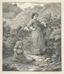 Làmina 16. Dues noies joves.  Imatges de la natura. Una sèrie de trenta il·lustracions originals dibuixades sobre fusta per J. H. Dell, i gravades per R. Paterson.  John Henry Dell  finlandès