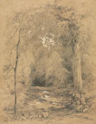 Metsän sisustus, n. 1870.