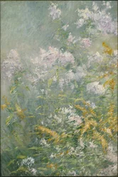 Meadow Flowers (Golden Rod ja Wild Aster), n.1892 (öljy kankaalle)