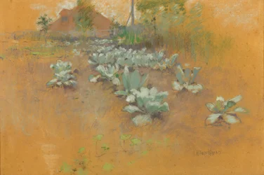 Tupakkalappu, n. 1895-1899 (pastelli ruskealle paperille)