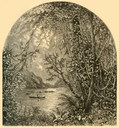 Potomac Harper