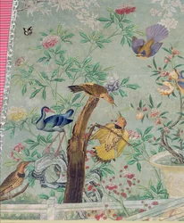 Pohjoinen välkyntä, leikattu "The Birds of America" -kappaleesta ja liimattu käsin maalatulle kiinalaiselle tapetille