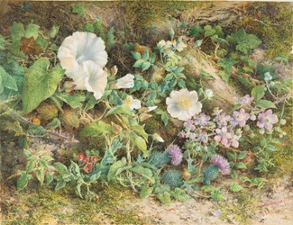 Kukkatutkimus, 1866.