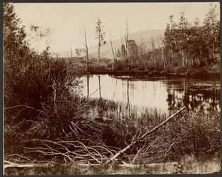 Morain Lake, Aquarius PLateau