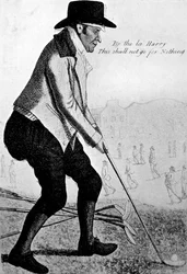 Viheriön kukko, 1700-luku.