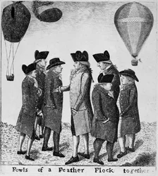 Lintuja höyhenparvi yhdessä, 1785