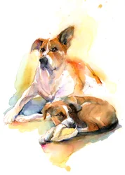 Charlie ja Sally, 2016,(akvarelli)