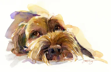 Charlie muotokuva, 2015 (akvarelli)