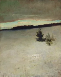 Snow Field, Aamu, Roxbury