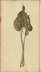 Sivu 