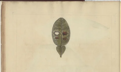 Lindsay Drawings Voi. VII, 3